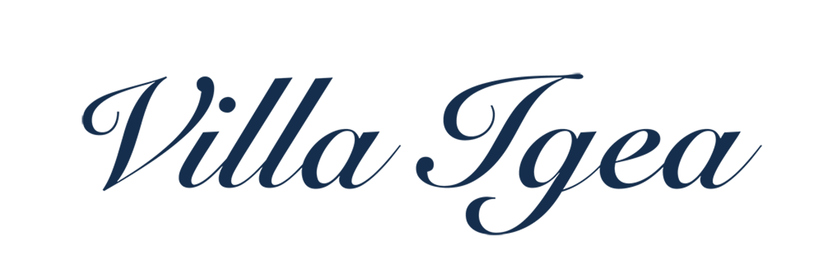 logo Villa Igea